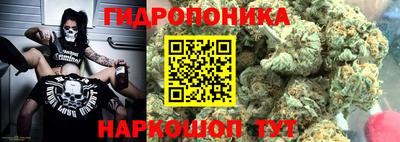 амф Гай