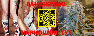 тгк Гатчина