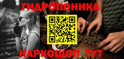 амф Гай