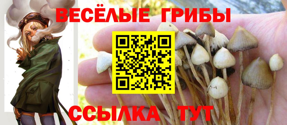 даркнет сайт  Галлюциногенные грибы Magic Shrooms  Вход с VPN  Отрадный 