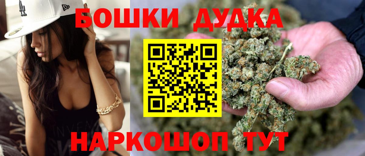 Конопля конопля Отрадный